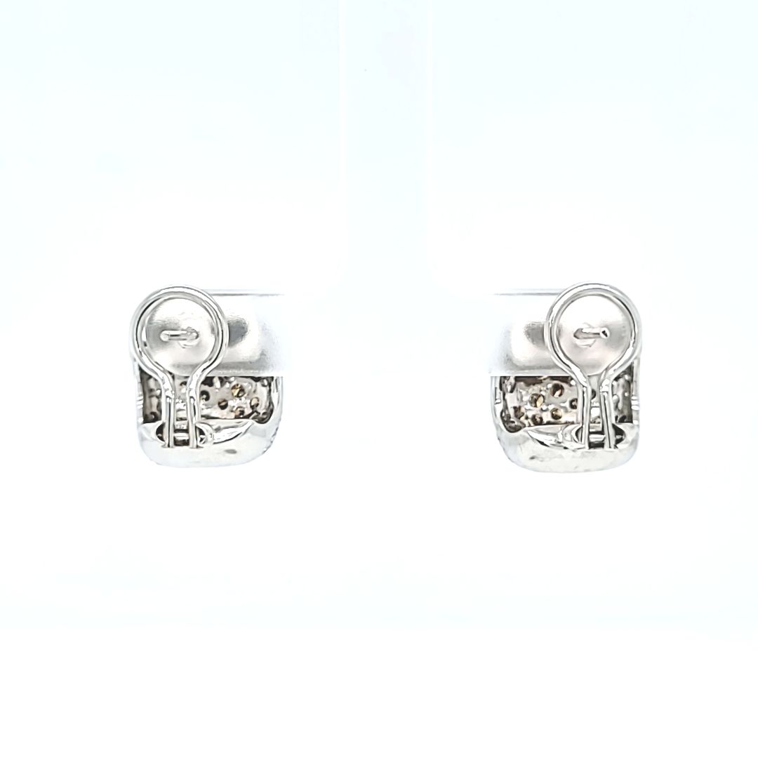 Brown and White Diamond Earrings