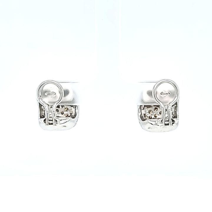 Brown and White Diamond Earrings
