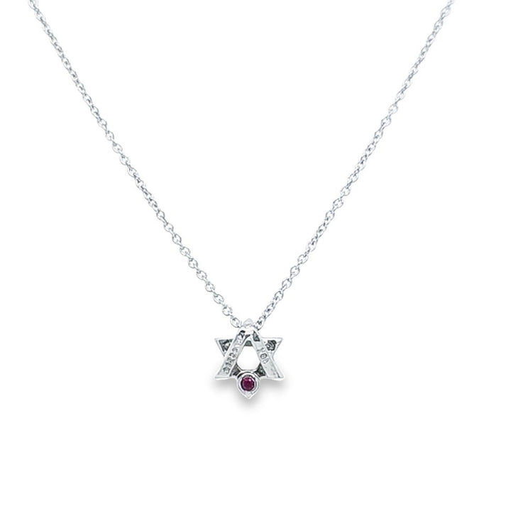 Tiny Treasures Diamond Star of David Necklace