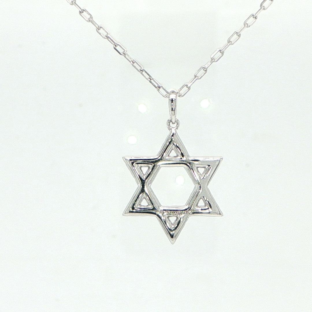 14K White Gold Diamond Star of David Necklace
