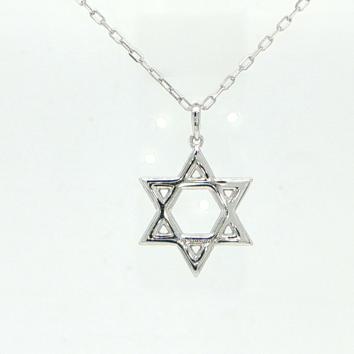 14K White Gold Diamond Star of David Necklace