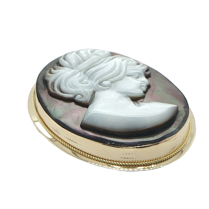Mother-of-Pearl Cameo Pin & Pendant