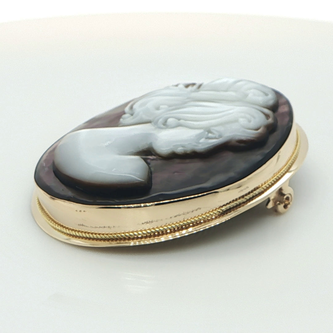 Mother-of-Pearl Cameo Pin & Pendant
