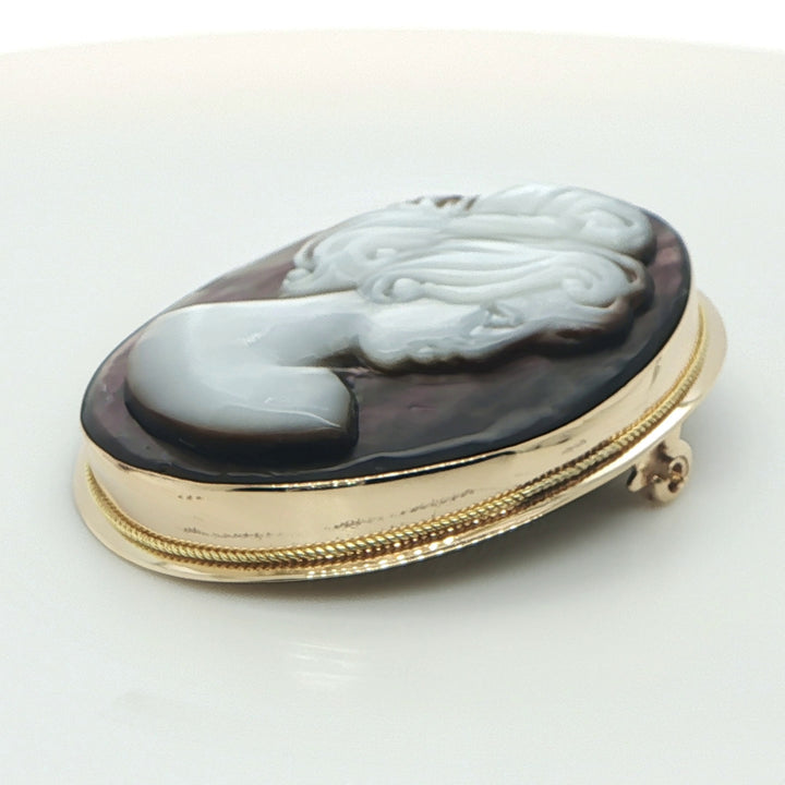Mother-of-Pearl Cameo Pin & Pendant