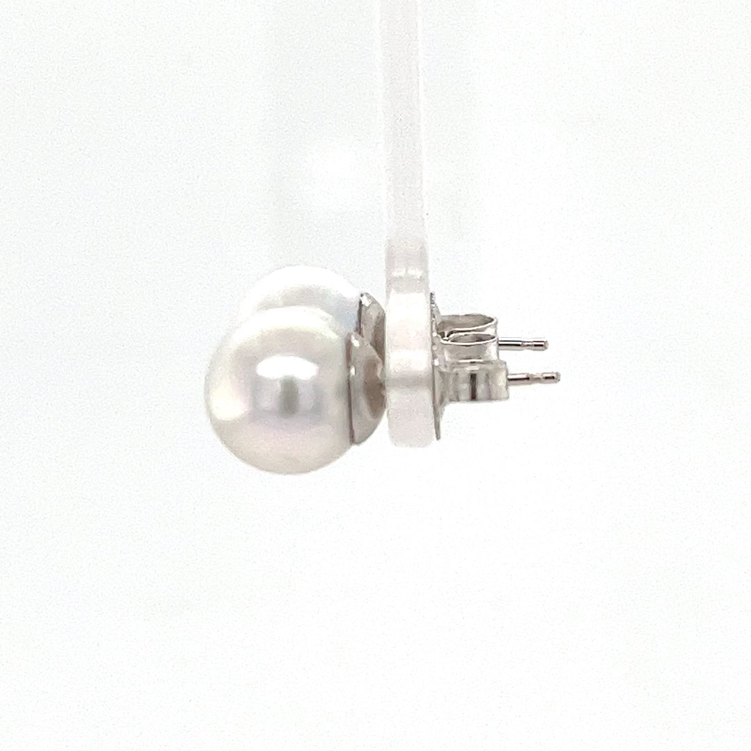 14K White Gold South Sea Pearl Stud Earrings