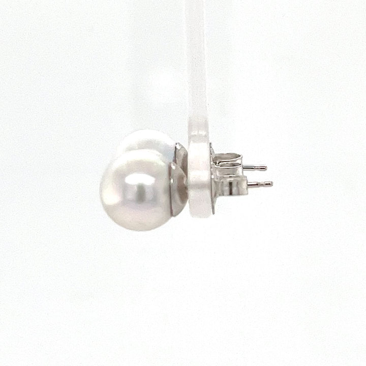 14K White Gold South Sea Pearl Stud Earrings