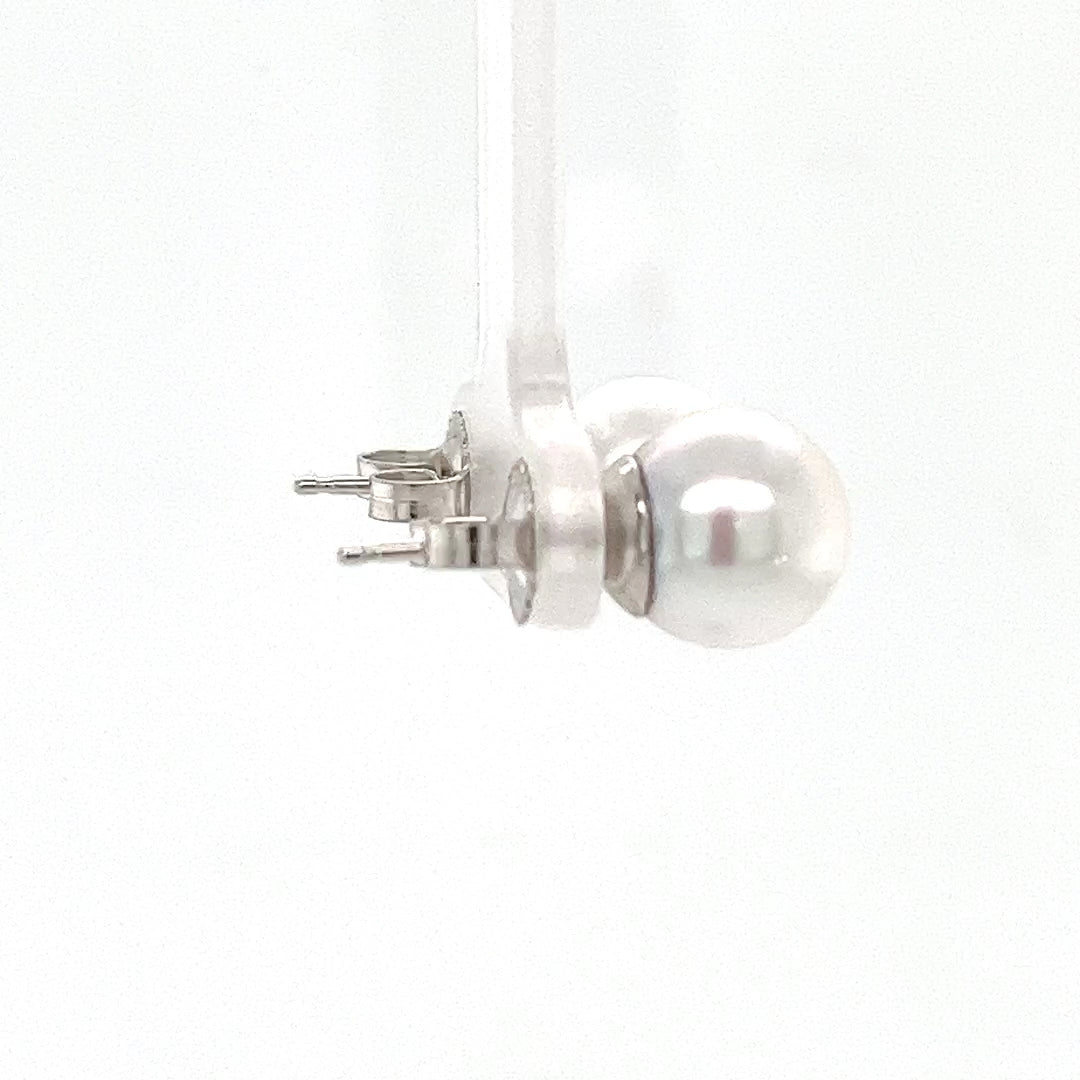 14K White Gold South Sea Pearl Stud Earrings