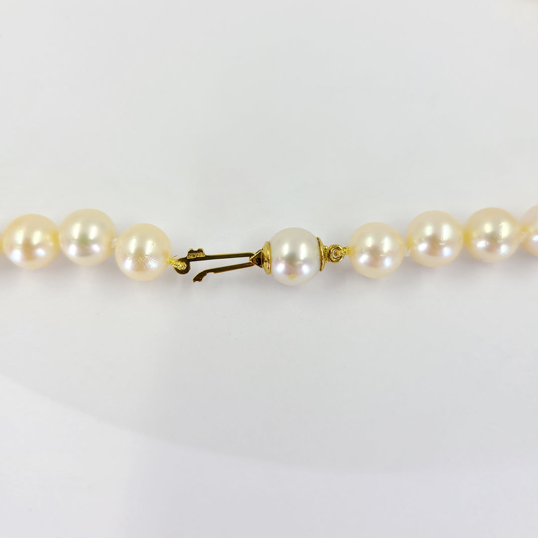 Pearl Necklace