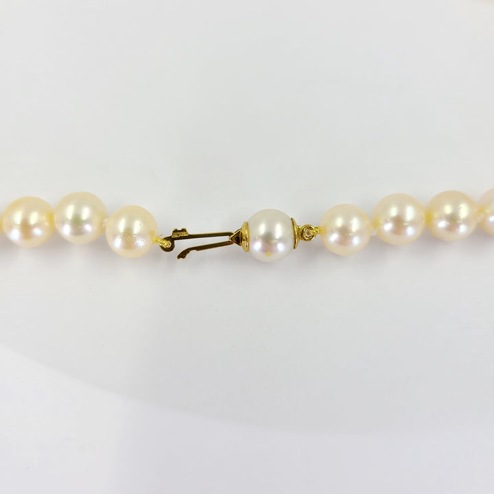 Pearl Necklace