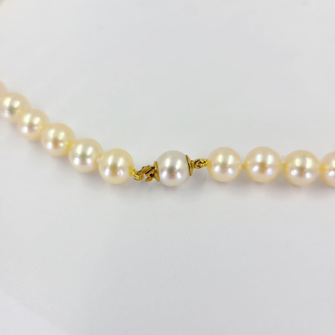 Pearl Necklace