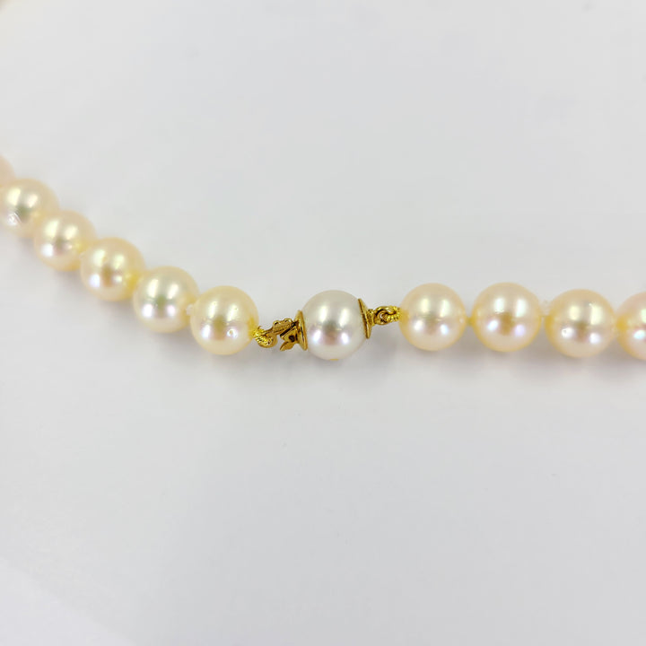 Pearl Necklace