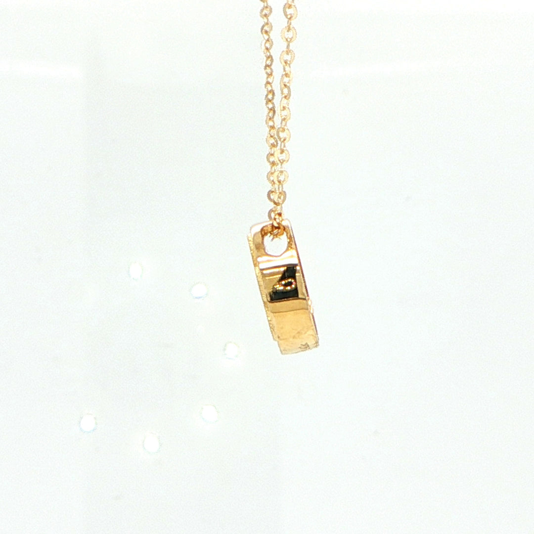14K Yellow Gold Paw Print Circle Pendant Necklace