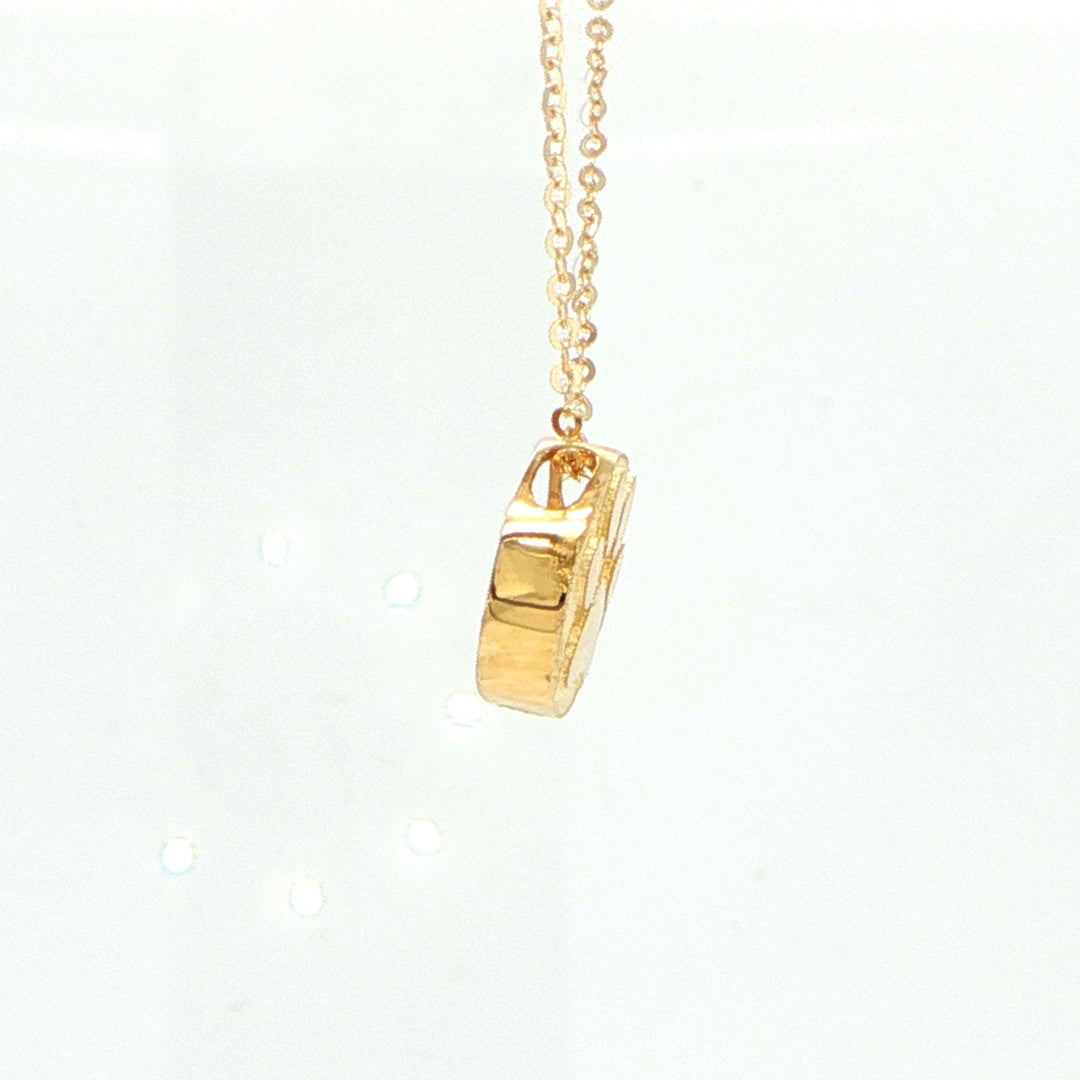 14K Yellow Gold Paw Print Circle Pendant Necklace