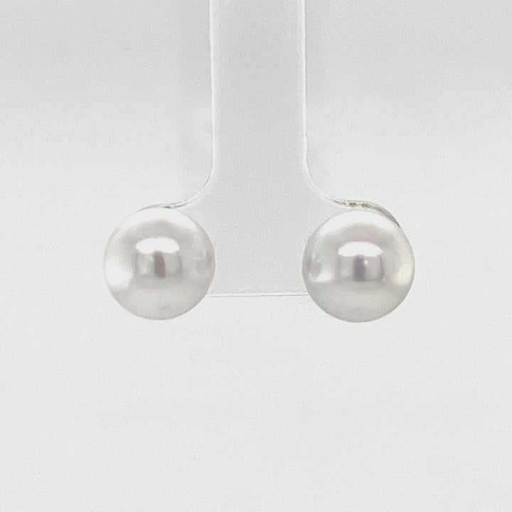 14K White Gold South Sea Pearl Stud Earrings