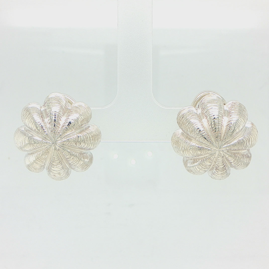 Tiffany & Co. Sterling Silver Earrings with Omega Backs