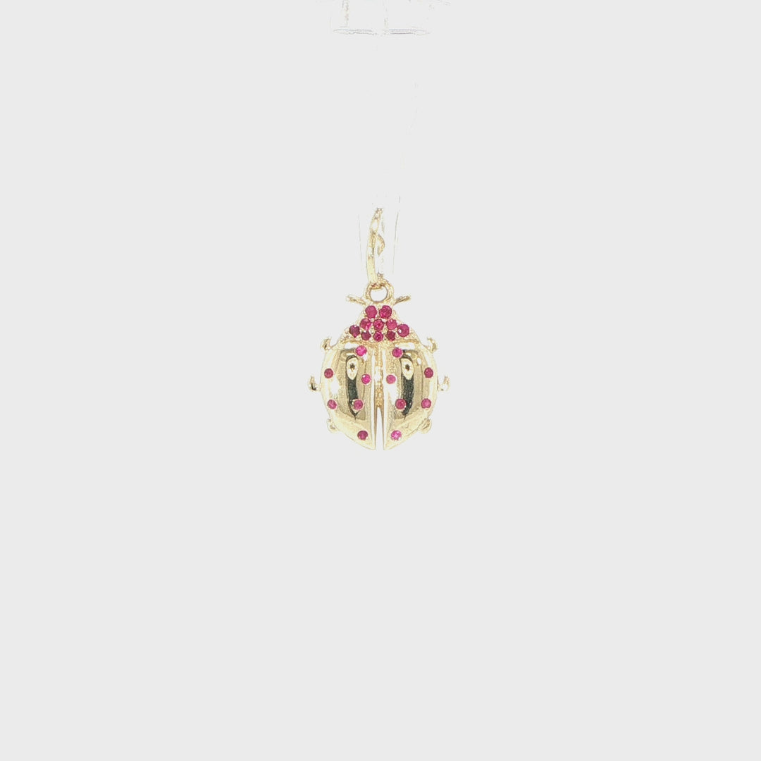 14K Yellow Gold Ruby Ladybug Pendant