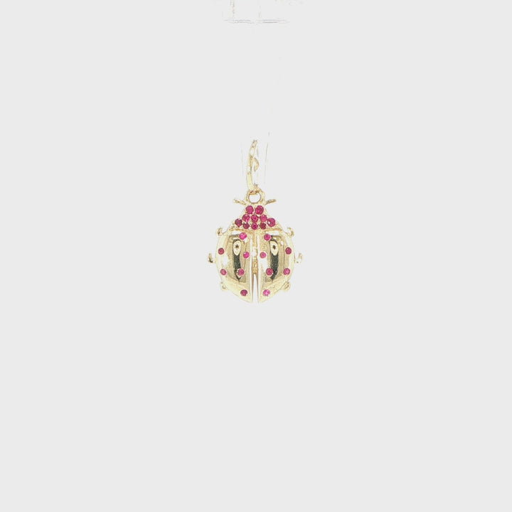 14K Yellow Gold Ruby Ladybug Pendant