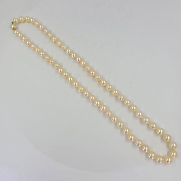 Pearl-Necklace
