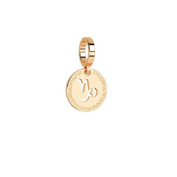 Yellow Zodiac Capricorn Charm