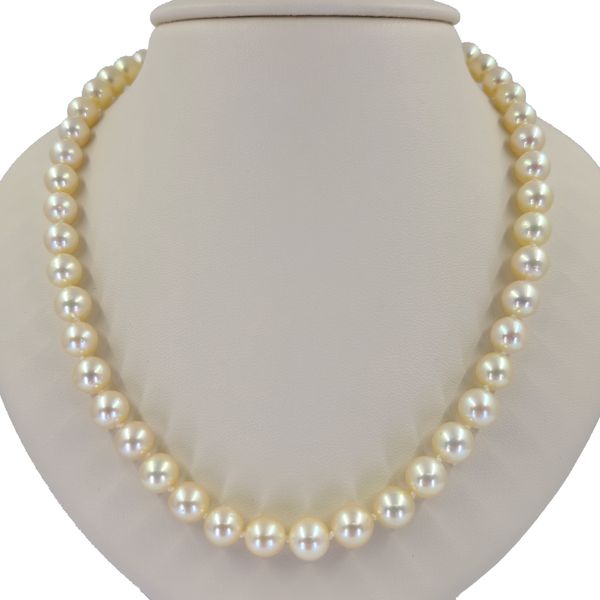 Pearl-Necklace